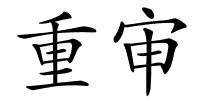 重审的解释