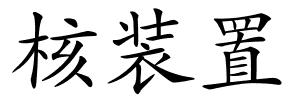 核装置的解释