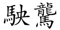 駚驡的解释