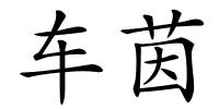 车茵的解释