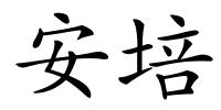 安培的解释