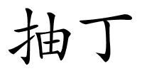 抽丁的解释