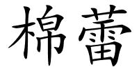 棉蕾的解释