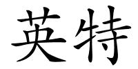 英特的解释