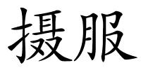 摄服的解释