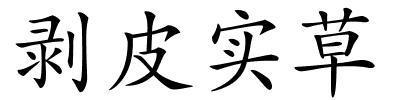 剥皮实草的解释
