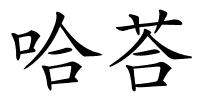 哈荅的解释