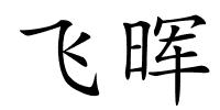 飞晖的解释