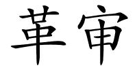 革审的解释