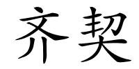 齐契的解释