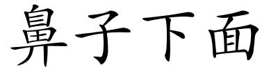 鼻子下面的解释