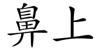 鼻上的解释