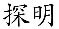 探明的解释