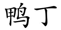 鸭丁的解释
