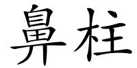 鼻柱的解释