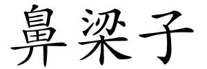鼻梁子的解释