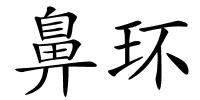 鼻环的解释