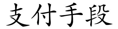 支付手段的解释
