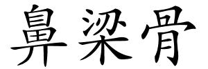 鼻梁骨的解释