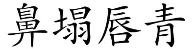 鼻塌唇青的解释