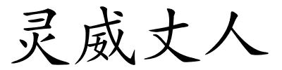 灵威丈人的解释