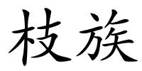 枝族的解释