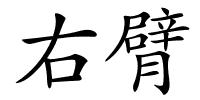 右臂的解释