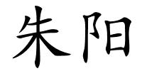 朱阳的解释
