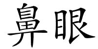 鼻眼的解释