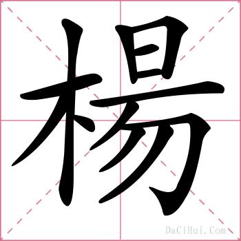 楊的解释