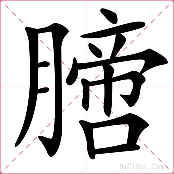 膪的解释