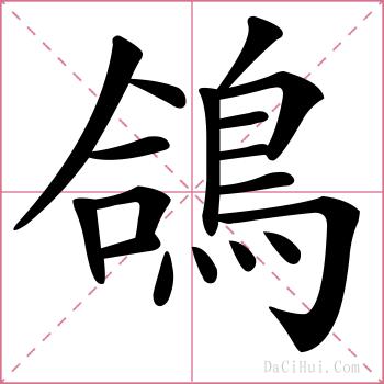 鴿的解释