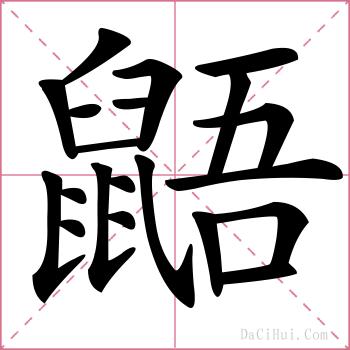 鼯的解释