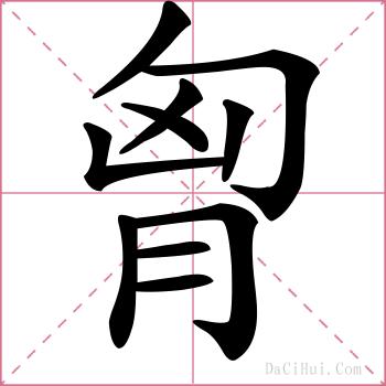 胷的解释