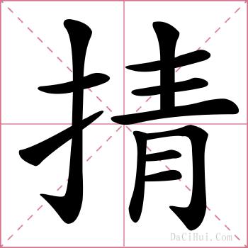 掅的解释