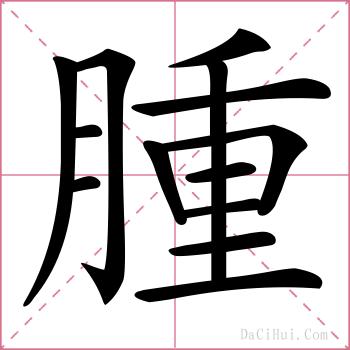 腫的解释