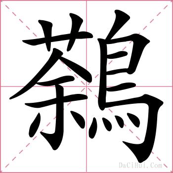 鷋的解释