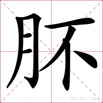 肧的解释