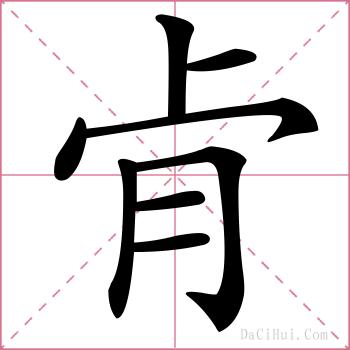 肻的解释