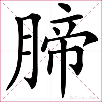 腣的解释