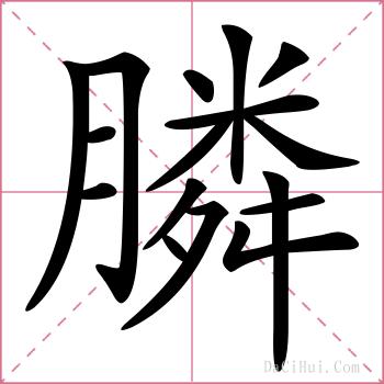 膦的解释