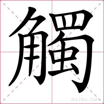 觸的解释
