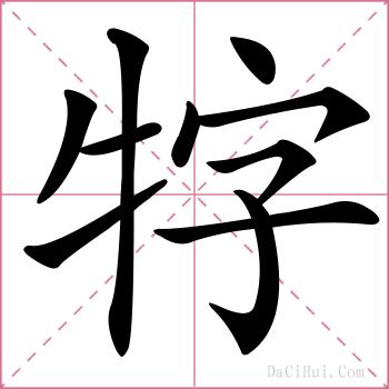 牸的解释
