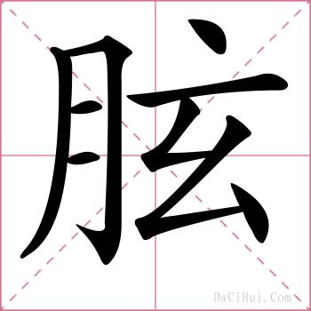胘的解释