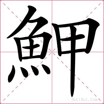 魻的解释