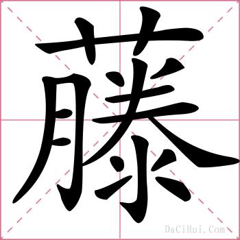 藤的解释