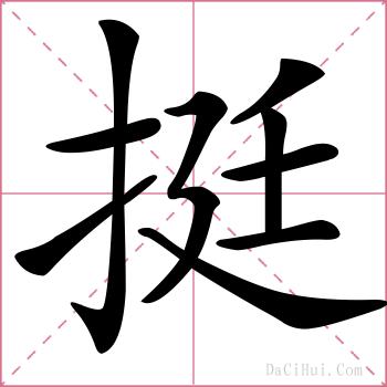 挺的解释