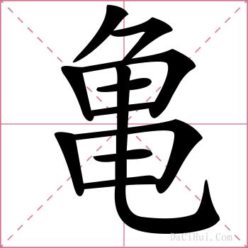 亀的解释