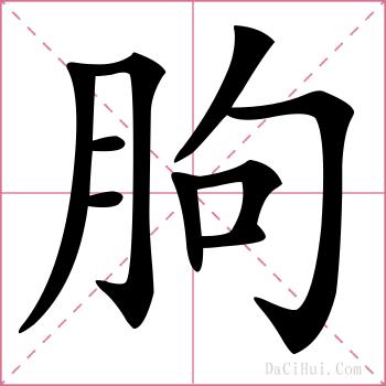 朐的解释