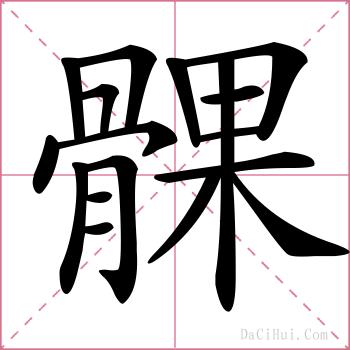 髁的解释